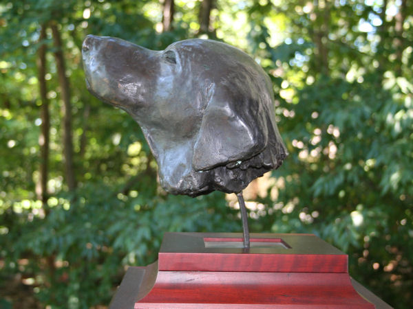 Another shot of this black labrador female - sculpture bust in bronze