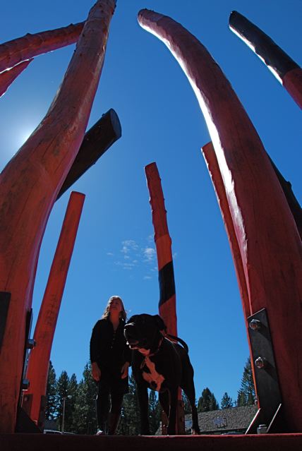 The artist, Laury Dizengremel with her dog Reba in the Log Henge, a public artwork in Seeley Lake, Montana - which she hopes will be the first of the Crown of the Continent Sculpture Trail